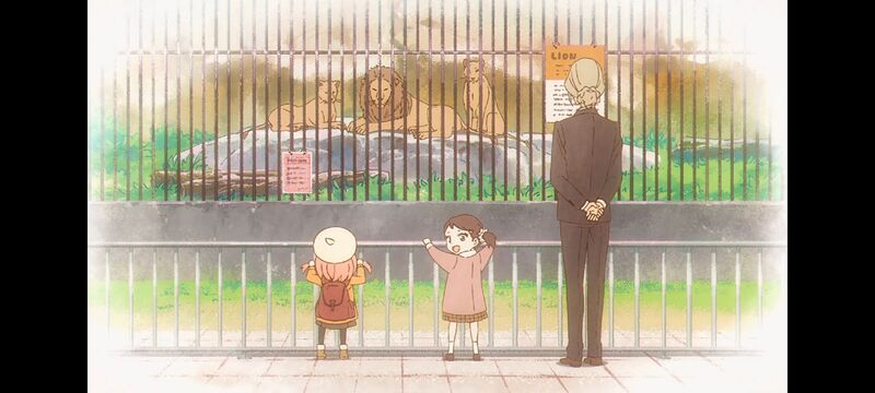 间谍过家家,SPYFAMILY,动画,动漫,番剧,ACG