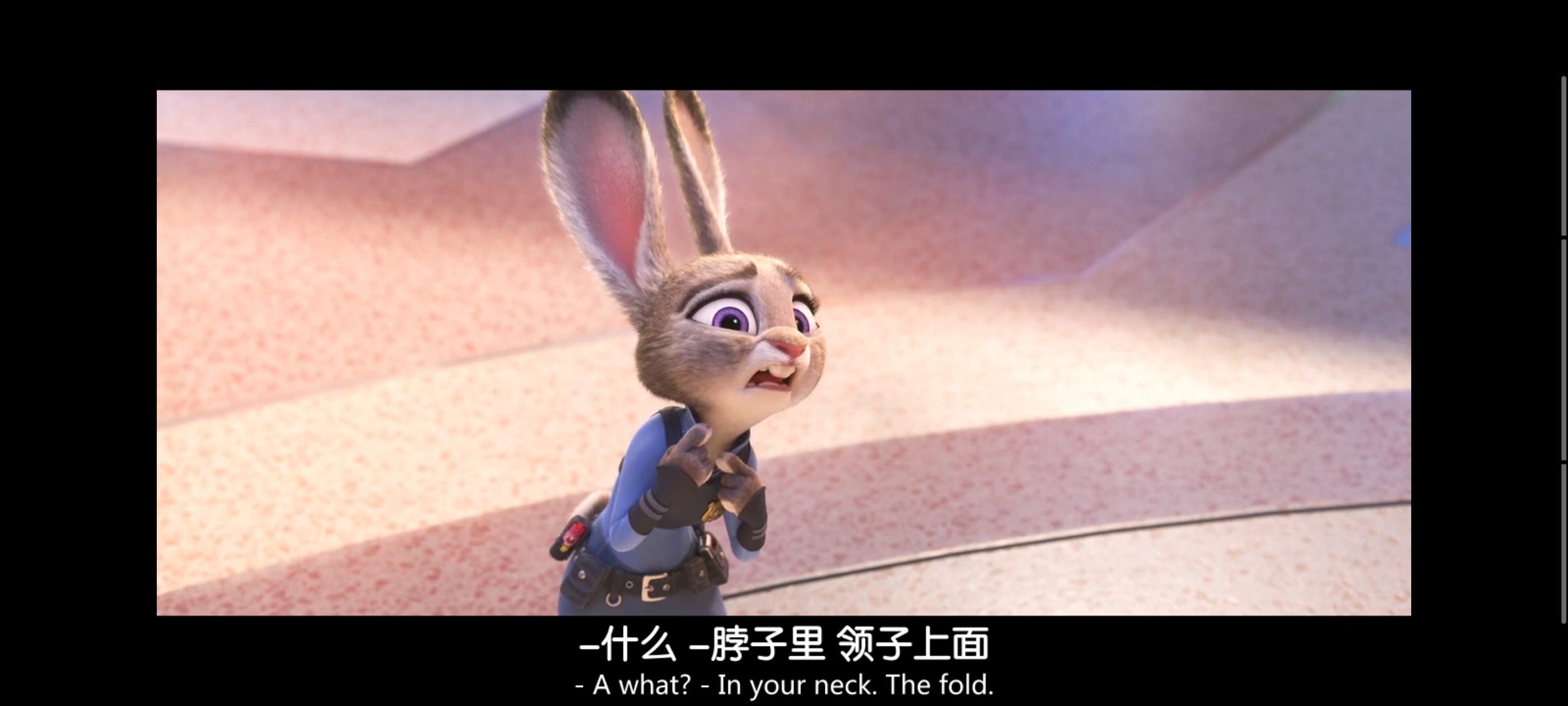 疯狂动物城,动画电影,动漫,动画,电影,二次元,ACG