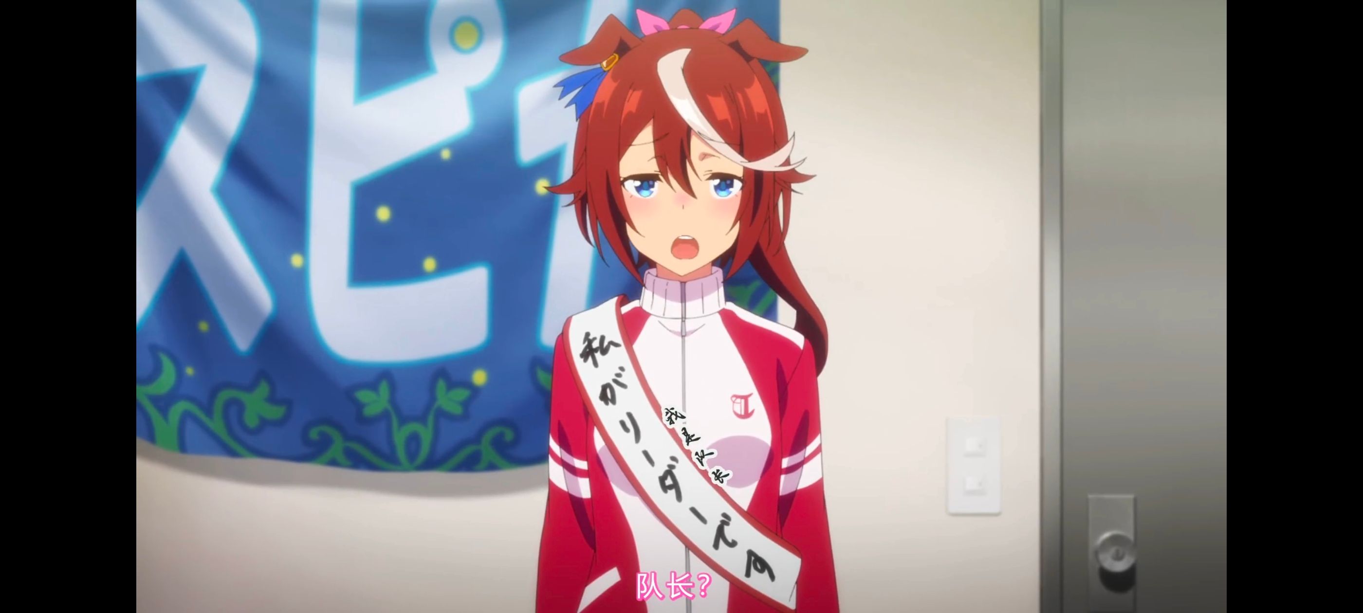 赛马娘,赛马娘PrettyDreby,动画,动漫,番剧,ACG