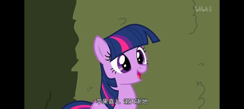 小马宝莉,小马宝莉友谊魔法,彩虹小马,我的小马驹,动画,动漫,番剧,ACG