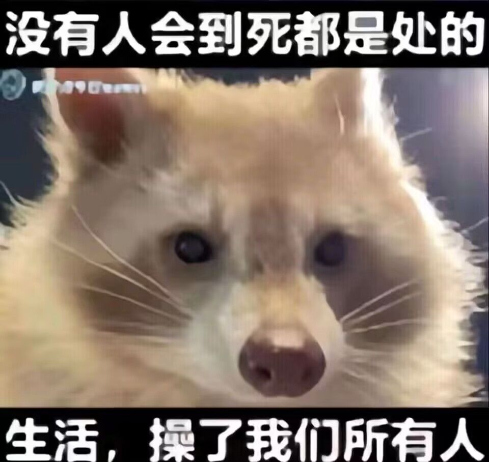 弔图,meme,涩图