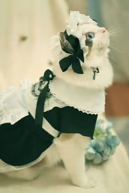 /static/1eabf5407280ece48788d0074435f84cf0cb26a2887b08993858340010841c31.jpg