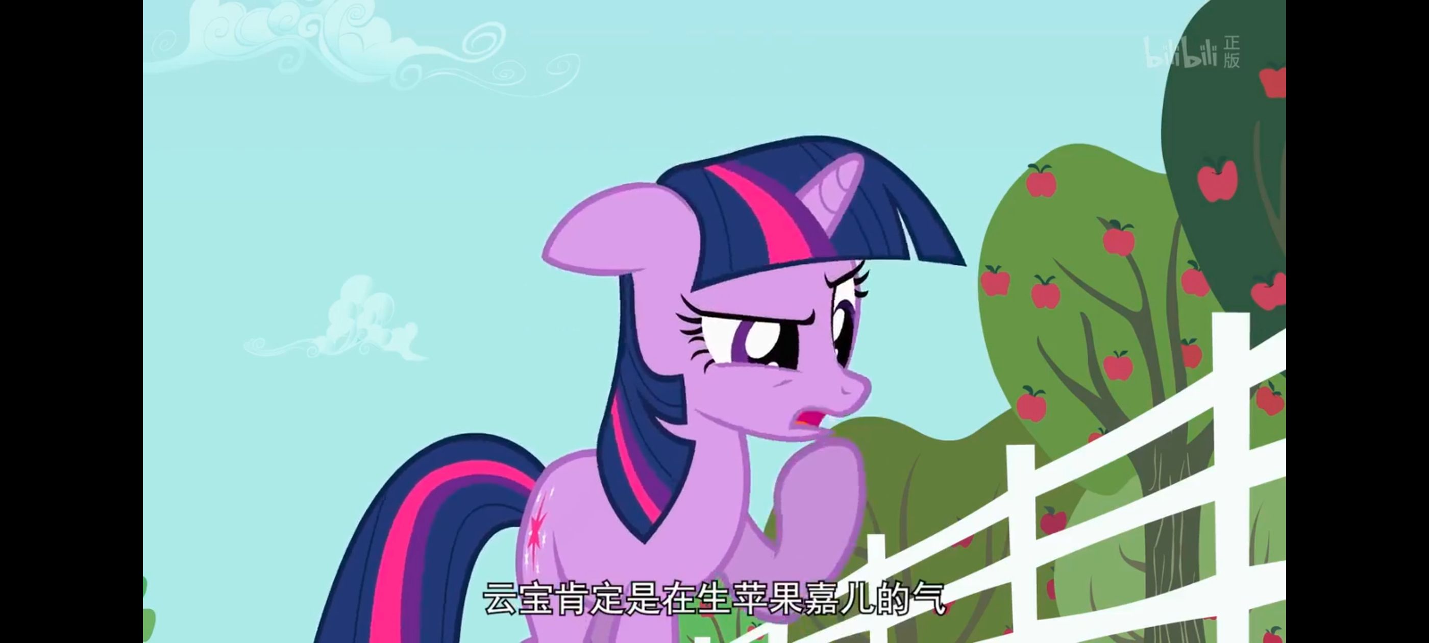 小马宝莉,小马宝莉友谊魔法,彩虹小马,我的小马驹,动画,动漫,番剧,ACG