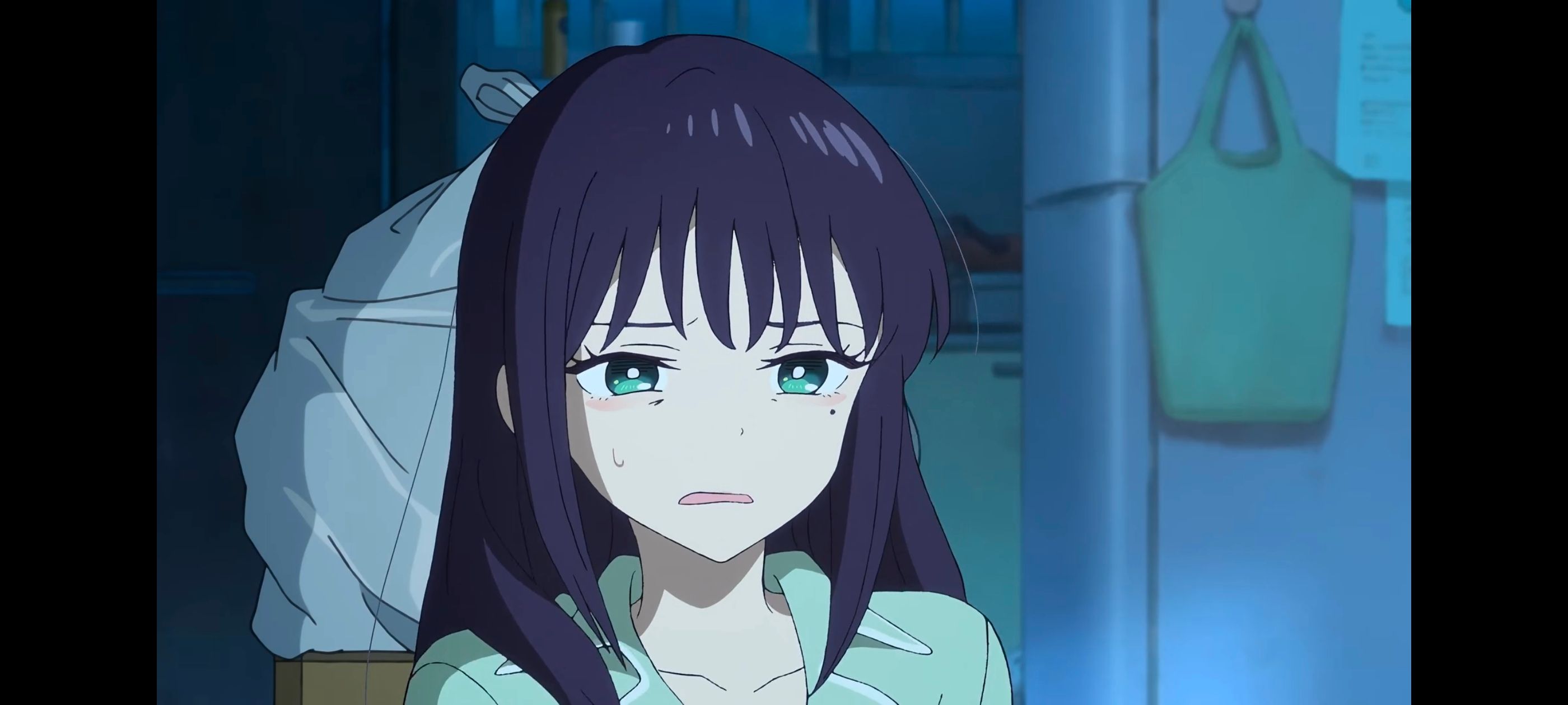 超时空辉夜姬,超時空輝夜姬,番剧,动画,动漫,二次元,ACG,动画电影