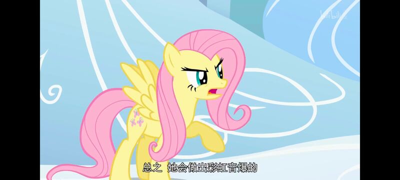 小马宝莉,小马宝莉友谊魔法,彩虹小马,我的小马驹,动画,动漫,番剧,ACG