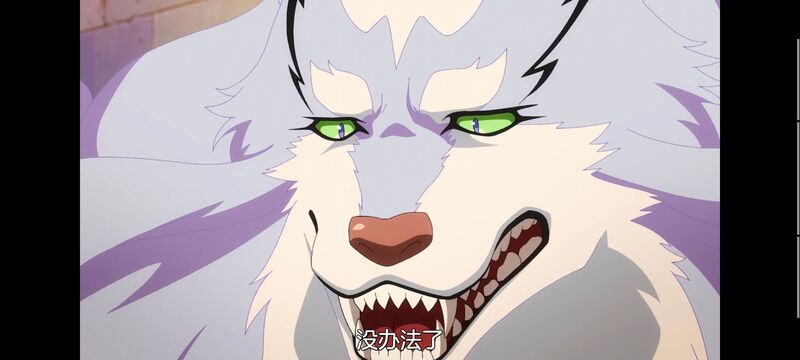 网购技能开启异世界美食之旅,拥有超常技能的异世界流浪美食家,动画,动漫,番剧,ACG