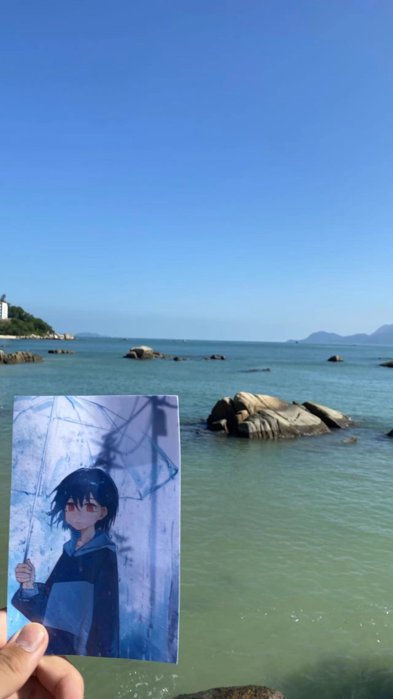 mygo,孤独摇滚,GirlsBandCry,轻音少女,美图,重音teto,初音miku,高松灯,鼓手余命十日谭,avemujica