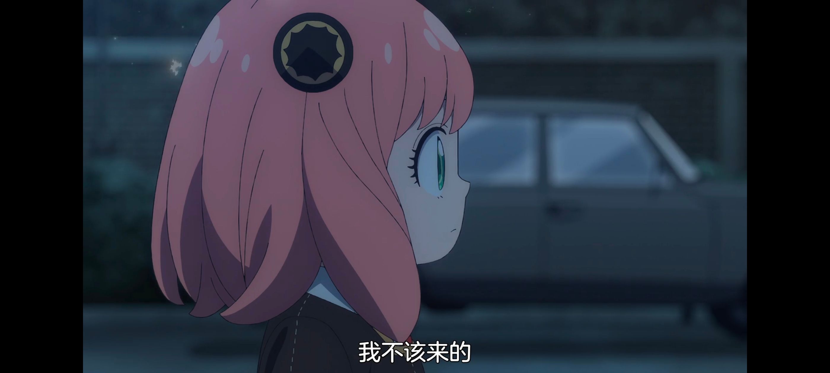 间谍过家家,SPYFAMILY,动画,动漫,番剧,ACG