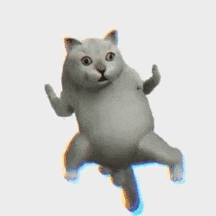 meme,动图,GIF