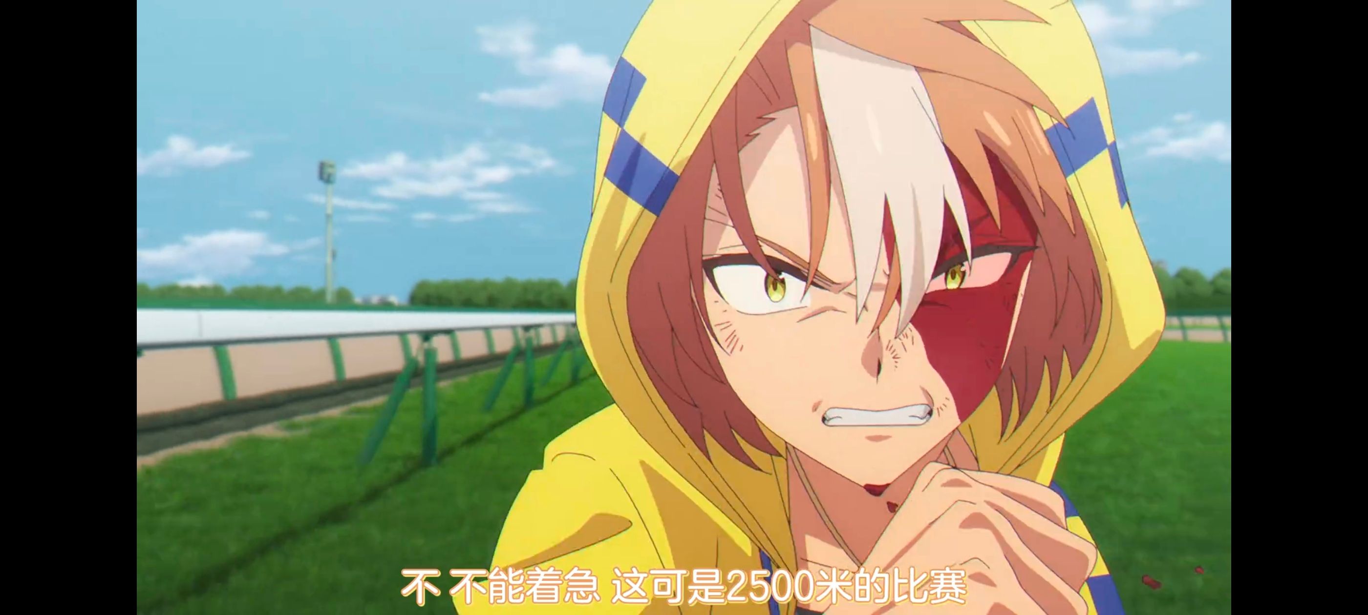 赛马娘,赛马娘PrettyDreby,赛马娘芦毛灰姑娘,芦毛灰姑娘,动画,动漫,番剧,ACG