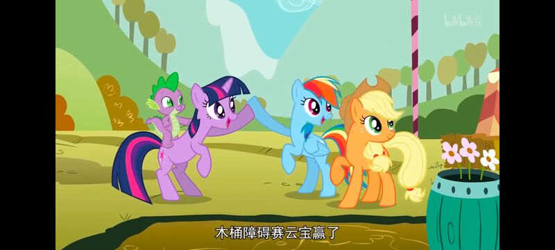 小马宝莉,小马宝莉友谊魔法,彩虹小马,我的小马驹,动画,动漫,番剧,ACG