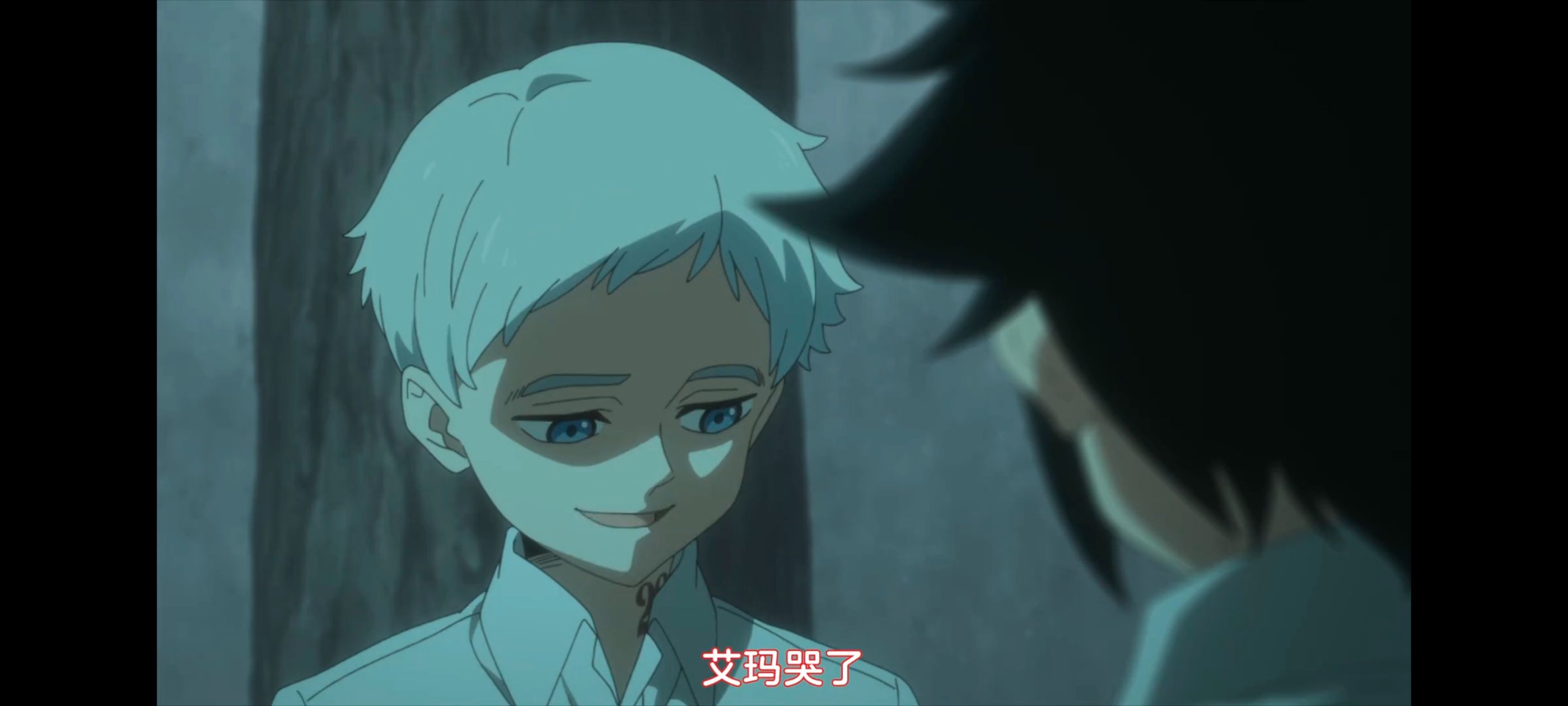 约定的梦幻岛,动画,动漫,番剧,ACG