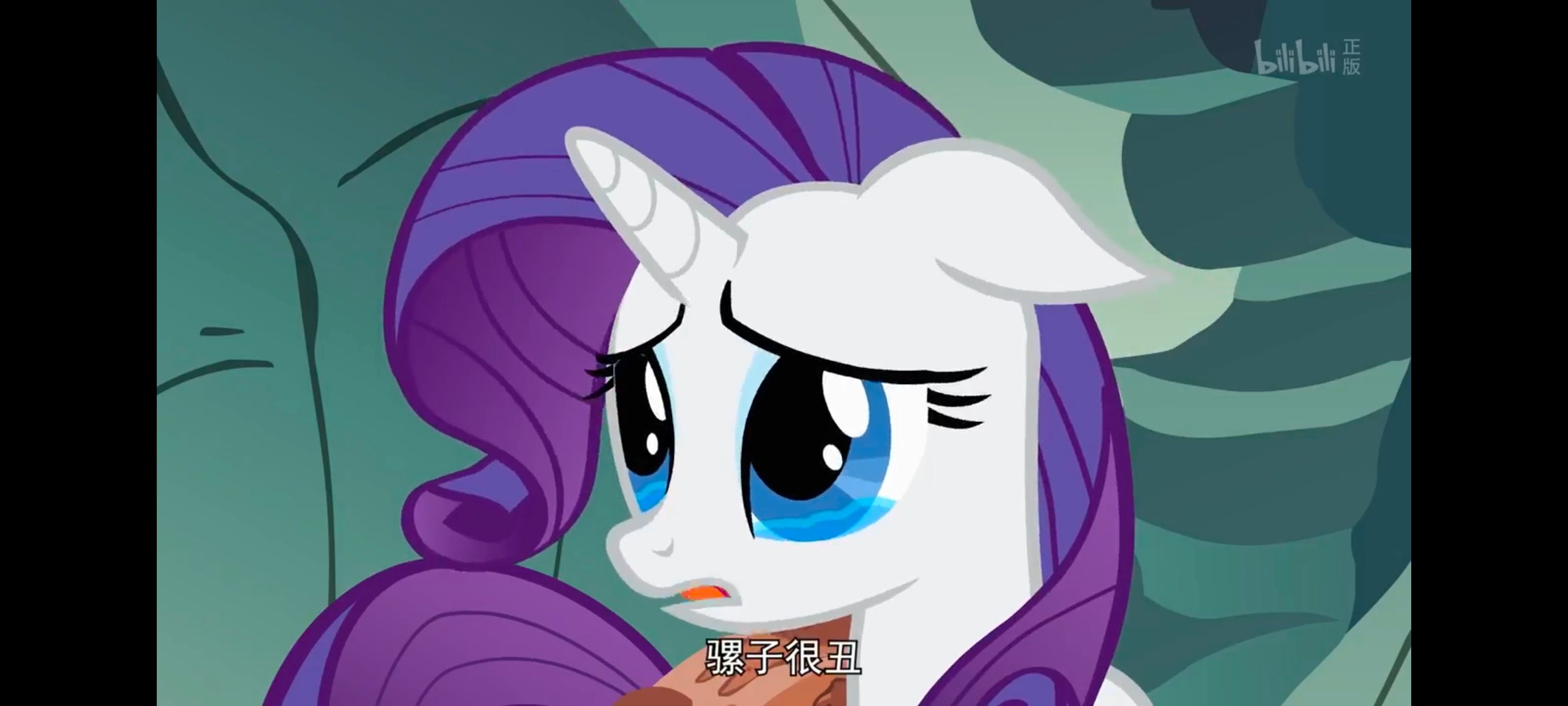 彩虹小马,小马宝莉,我的小马驹,小马宝莉友谊魔法,动画,动漫,番剧,ACG