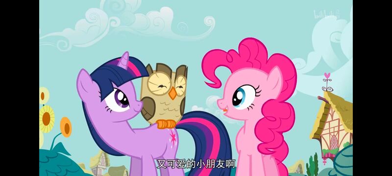 小马宝莉,彩虹小马,我的小马驹,动画,动漫,番剧,ACG,小马宝莉友谊魔法