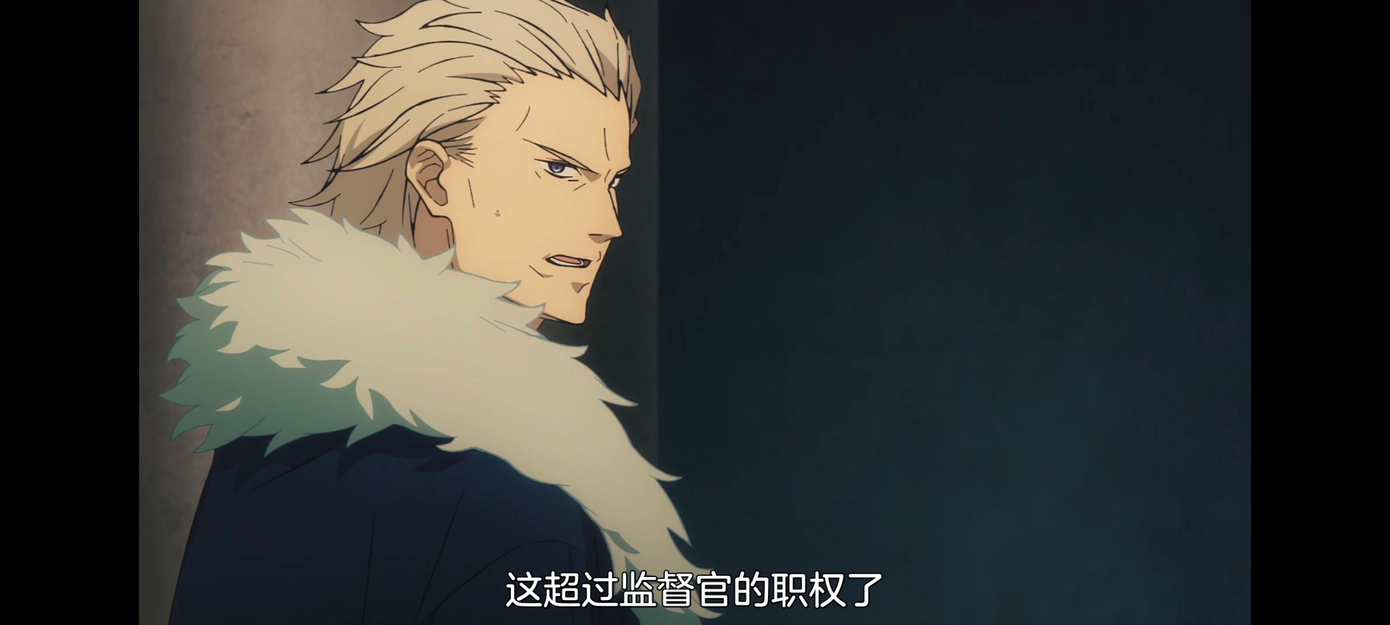 命运奇异赝品,FatestrangeFake,FATE,动画,动漫,番剧,ACG