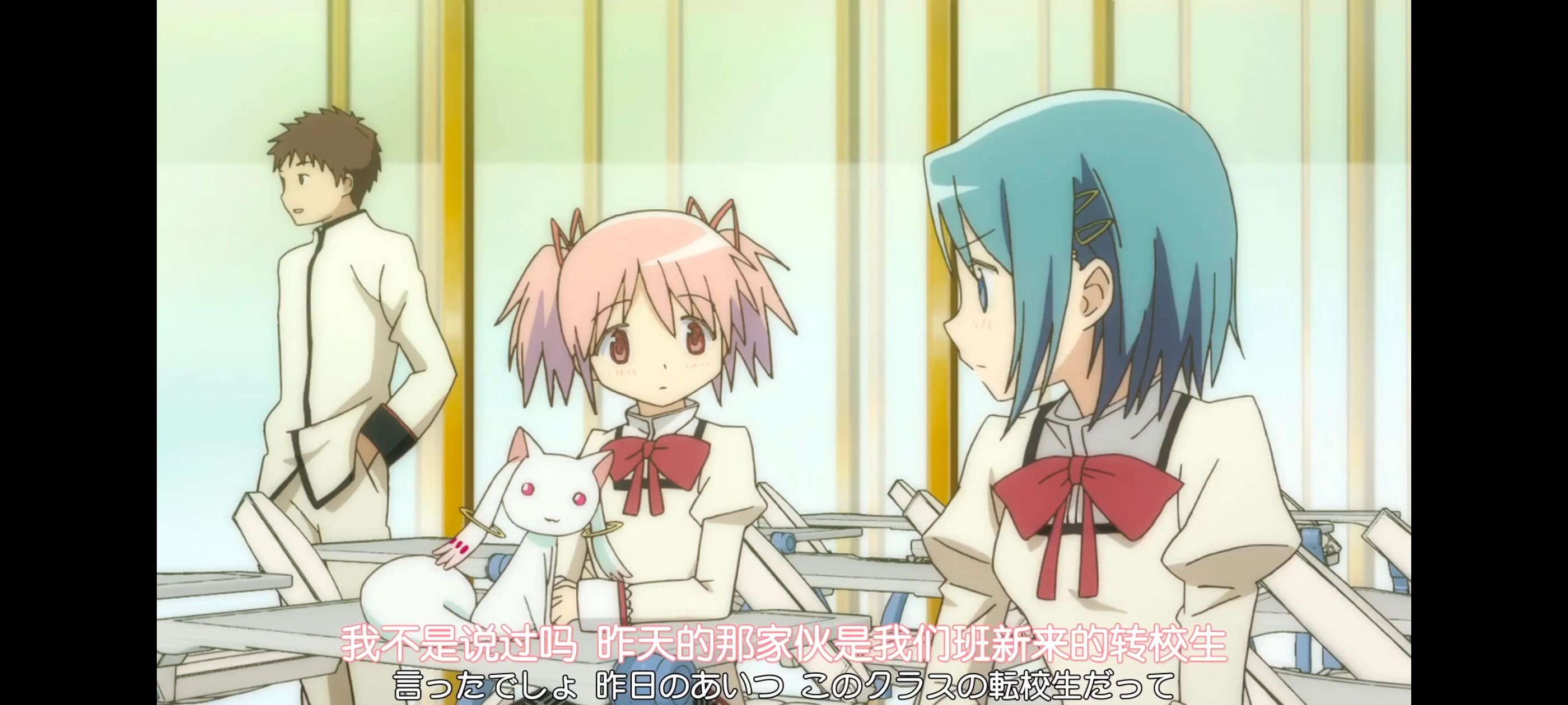 魔法少女小圆,魔法少女,动漫,动画,番剧,ACG