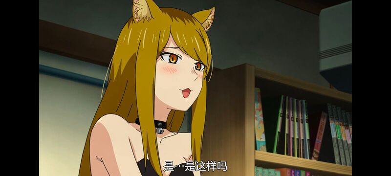 尼古喵喵,雅尼猫,动画,动漫,番剧,二次元,日漫,ACG
