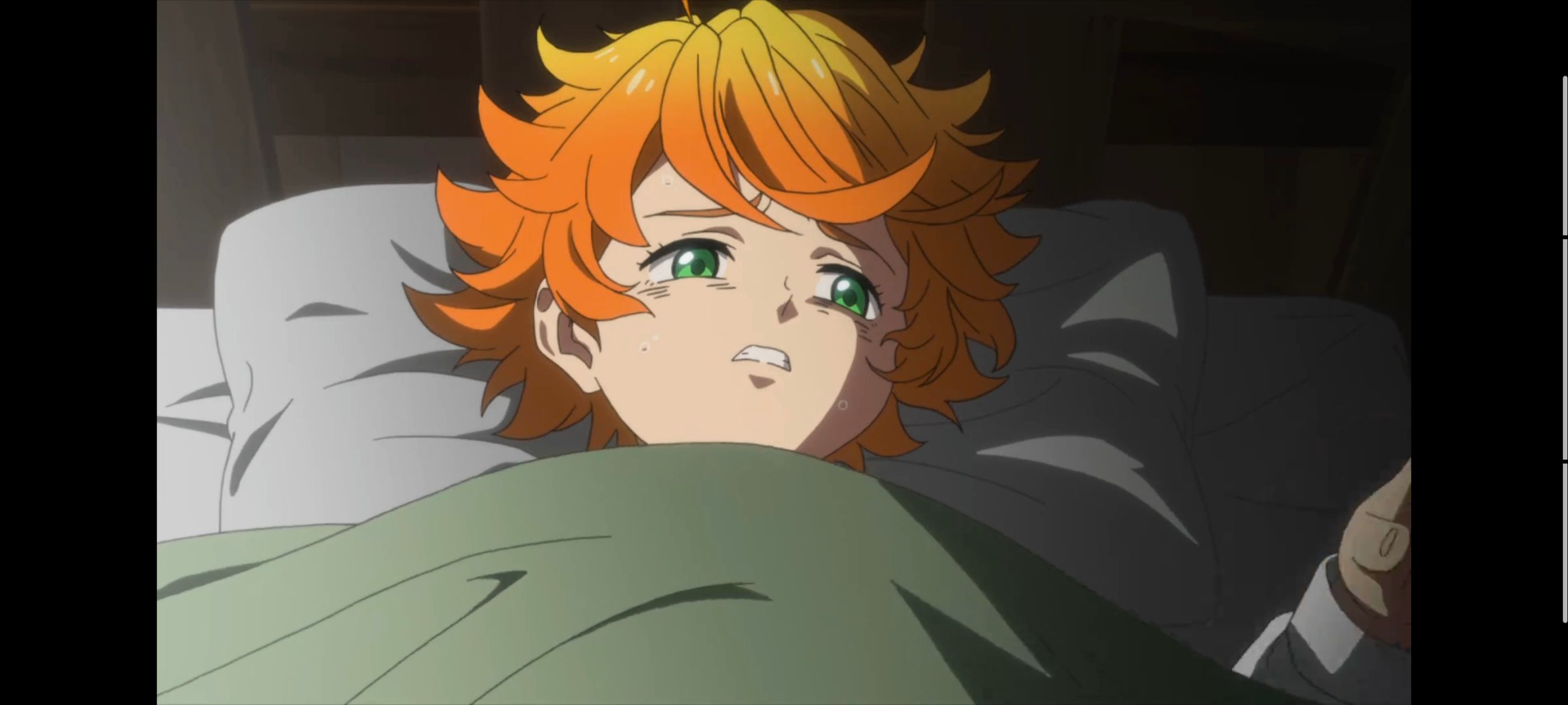 约定的梦幻岛,动画,动漫,番剧,二次元,ACG