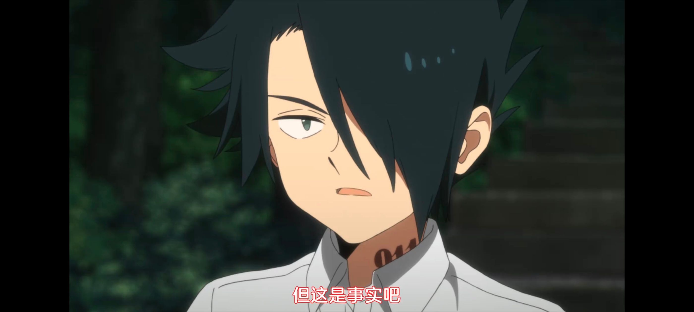 约定的梦幻岛,动画,动漫,番剧,ACG