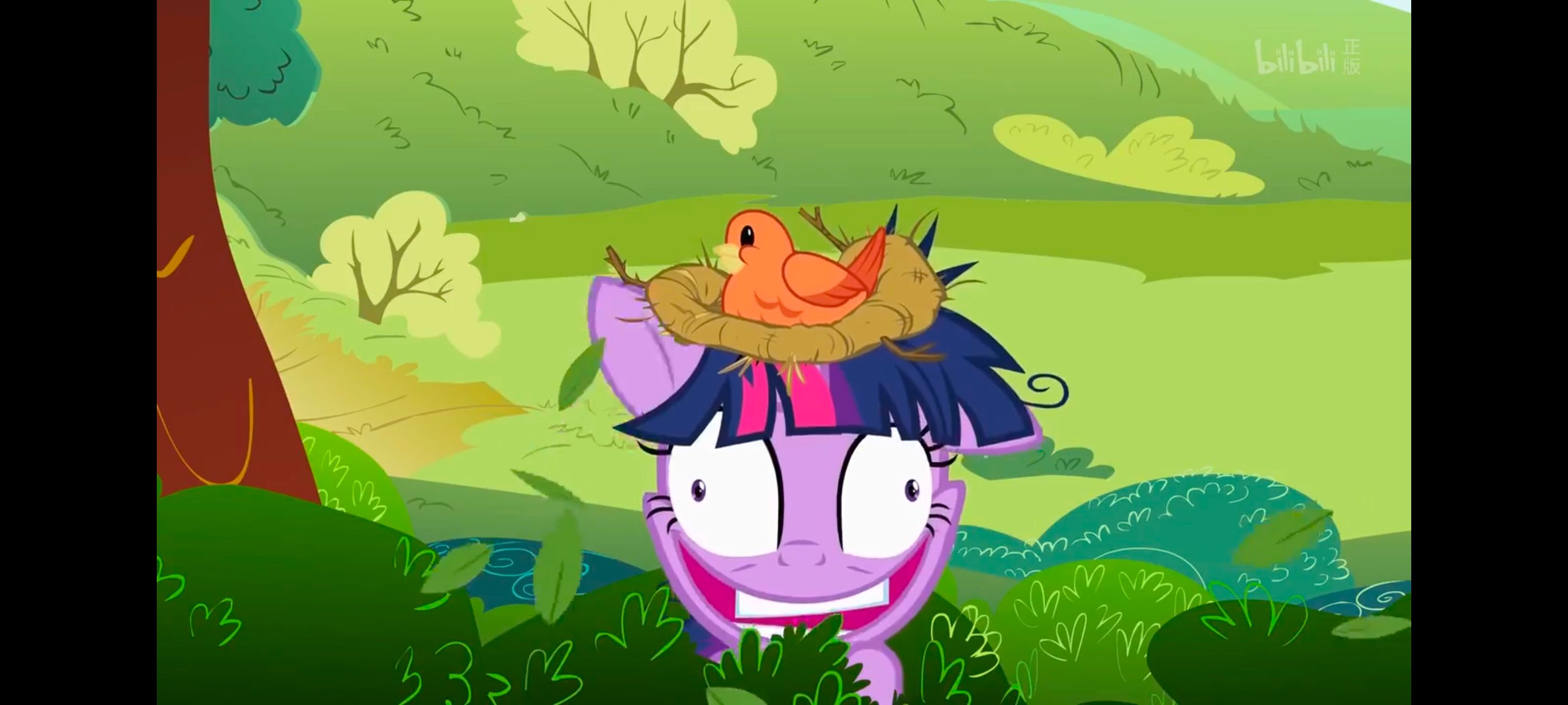 小马宝莉,小马宝莉友谊魔法,彩虹小马,我的小马驹,动画,动漫,番剧,ACG