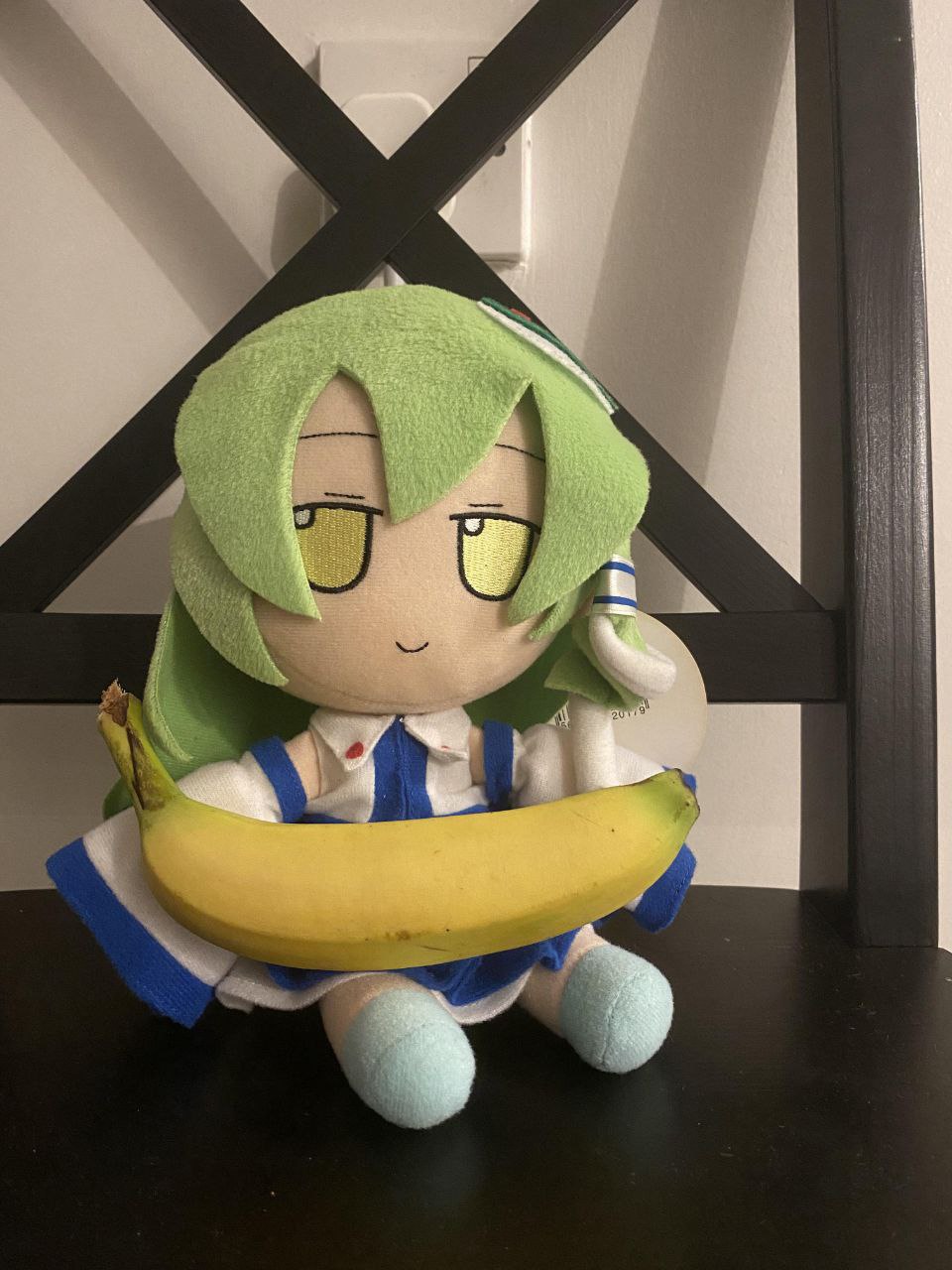 fumo,东方project,3月7号早苗日