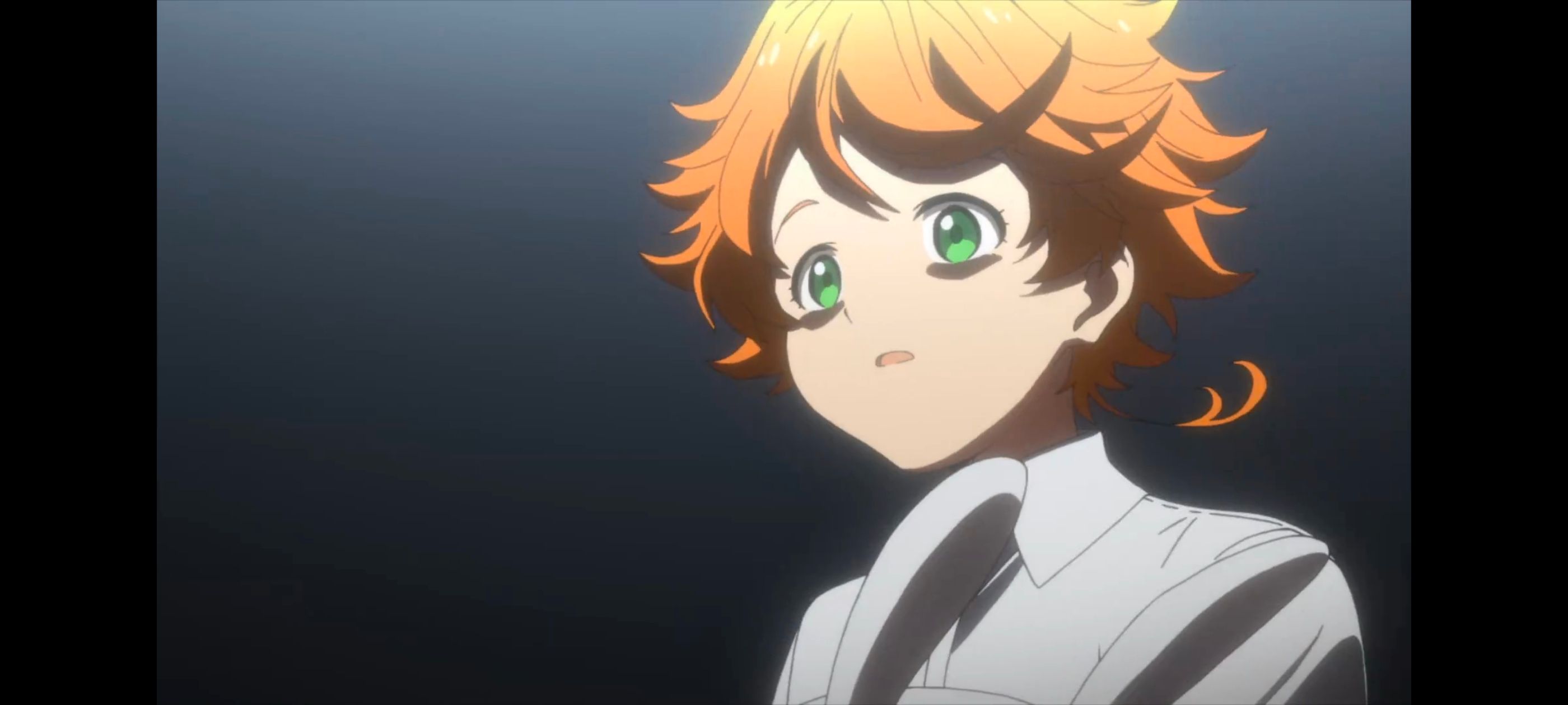 约定的梦幻岛,动画,动漫,番剧,ACG