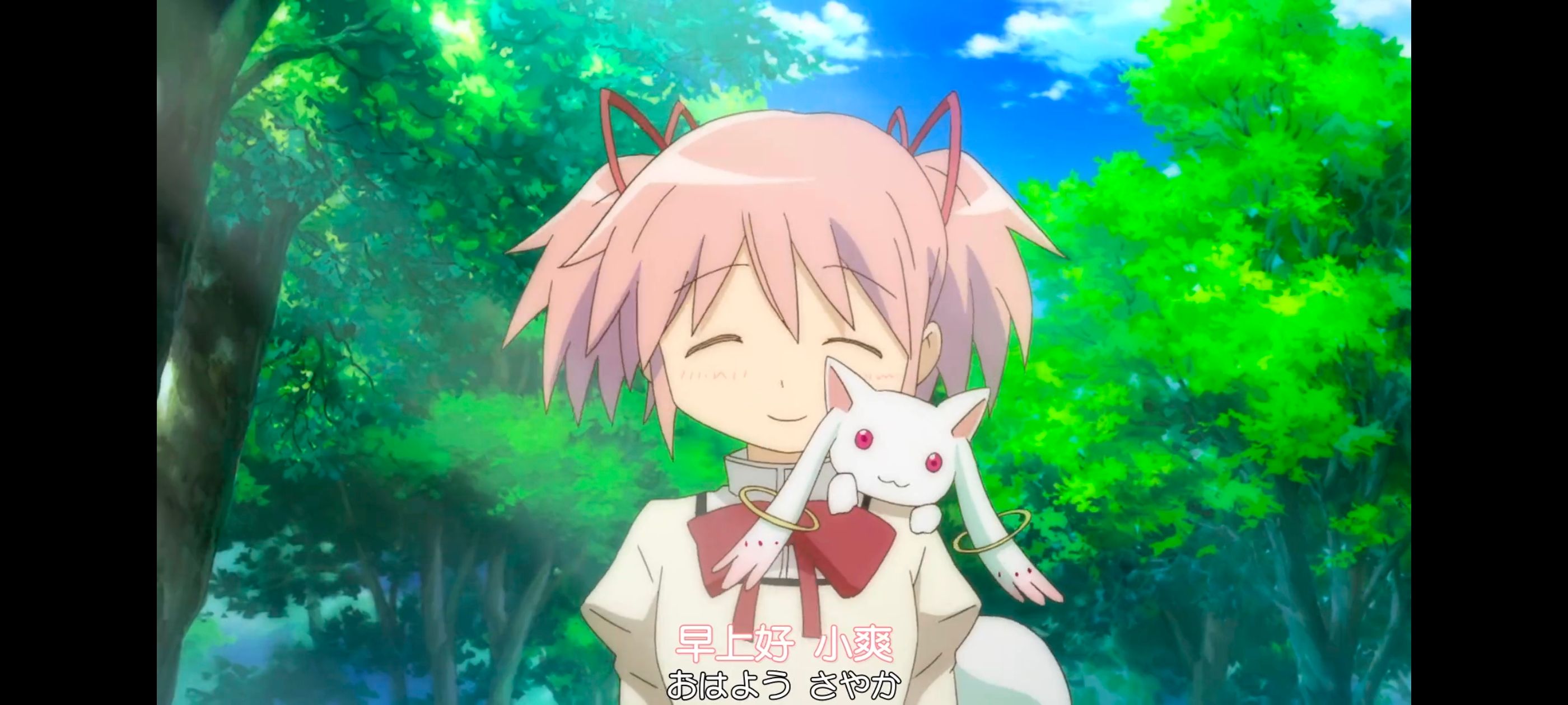 魔法少女小圆,魔法少女,动漫,动画,番剧,ACG