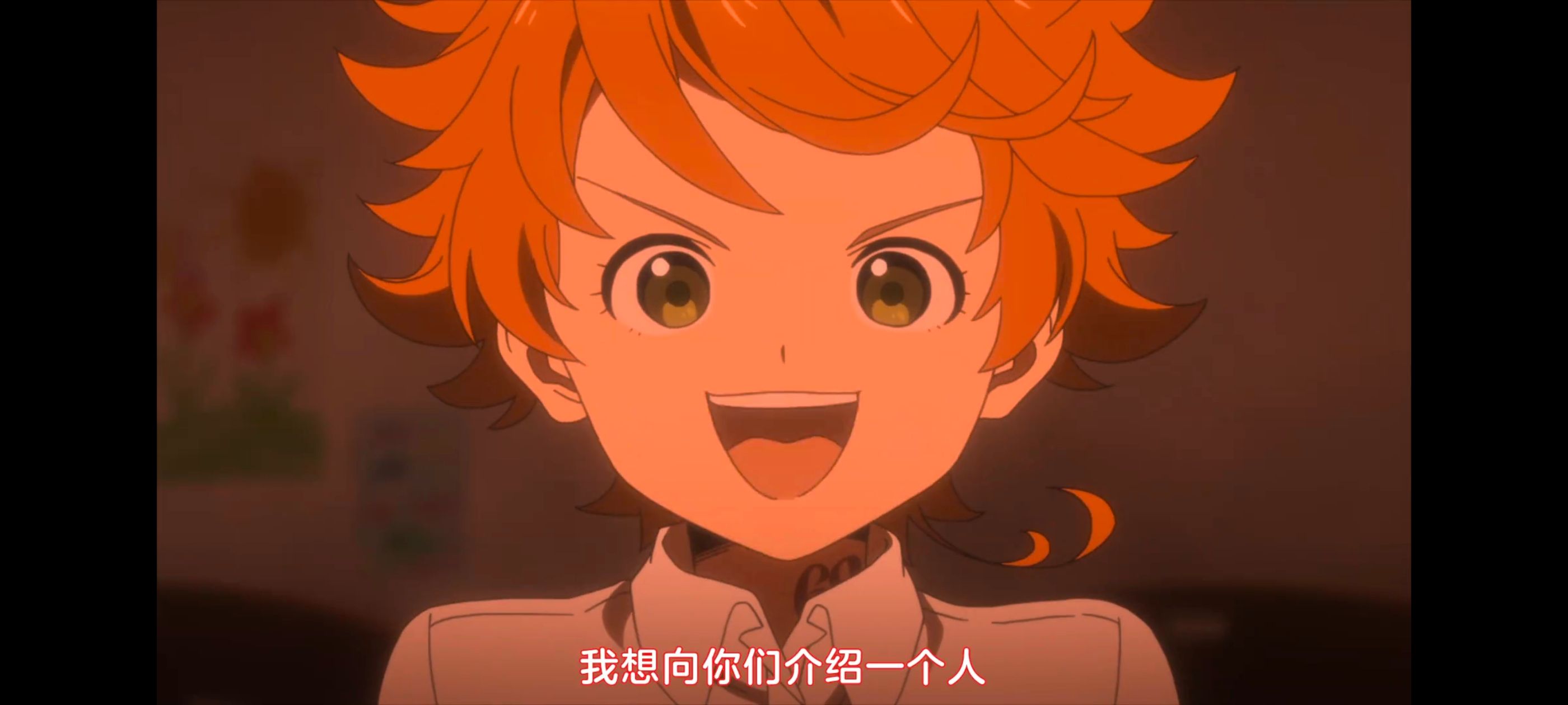 约定的梦幻岛,动画,动漫,番剧,ACG