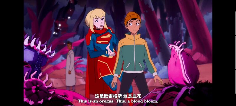我与超人的冒险,DC,动画,动漫,美漫,超级英雄,番剧,二次元,ACG