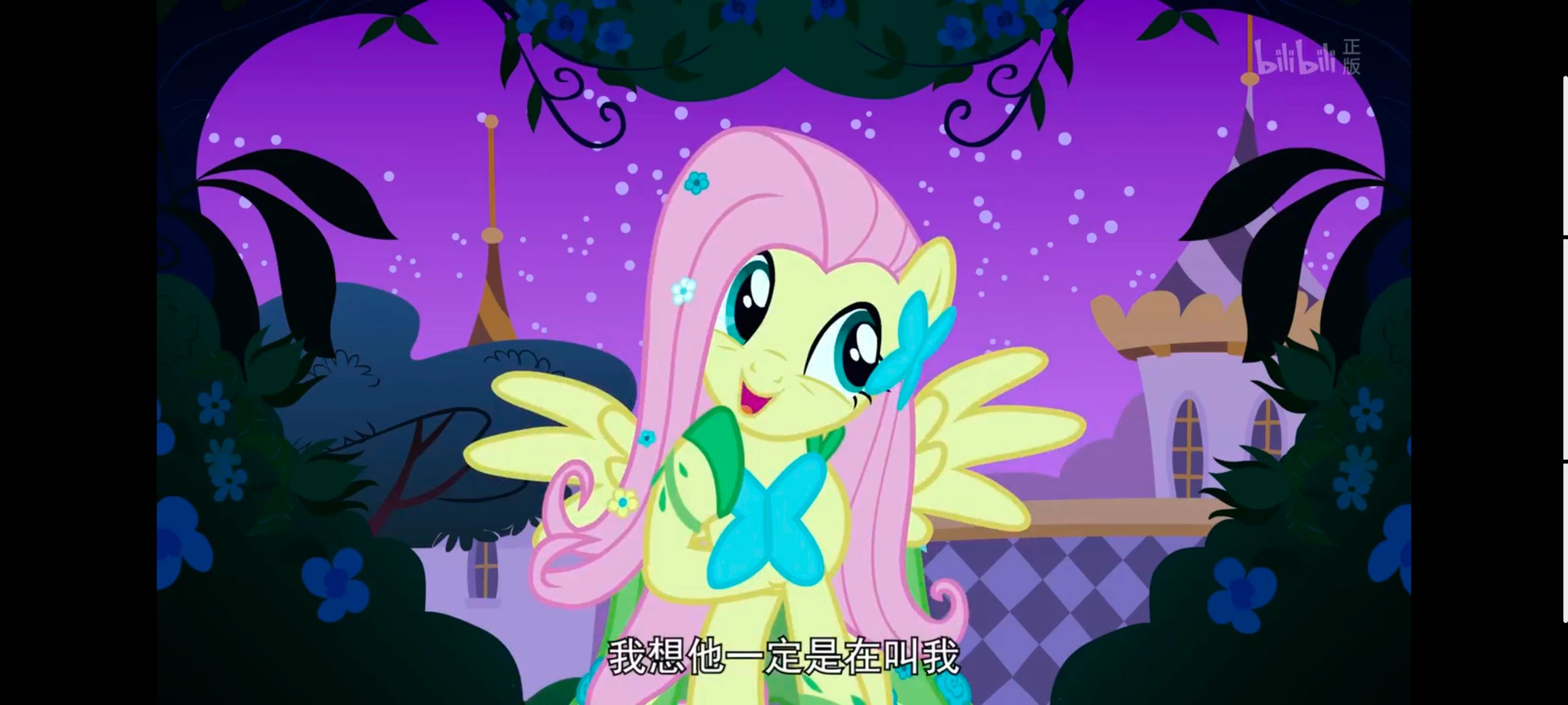 小马宝莉,小马宝莉友谊魔法,彩虹小马,我的小马驹,动画,动漫,番剧,ACG