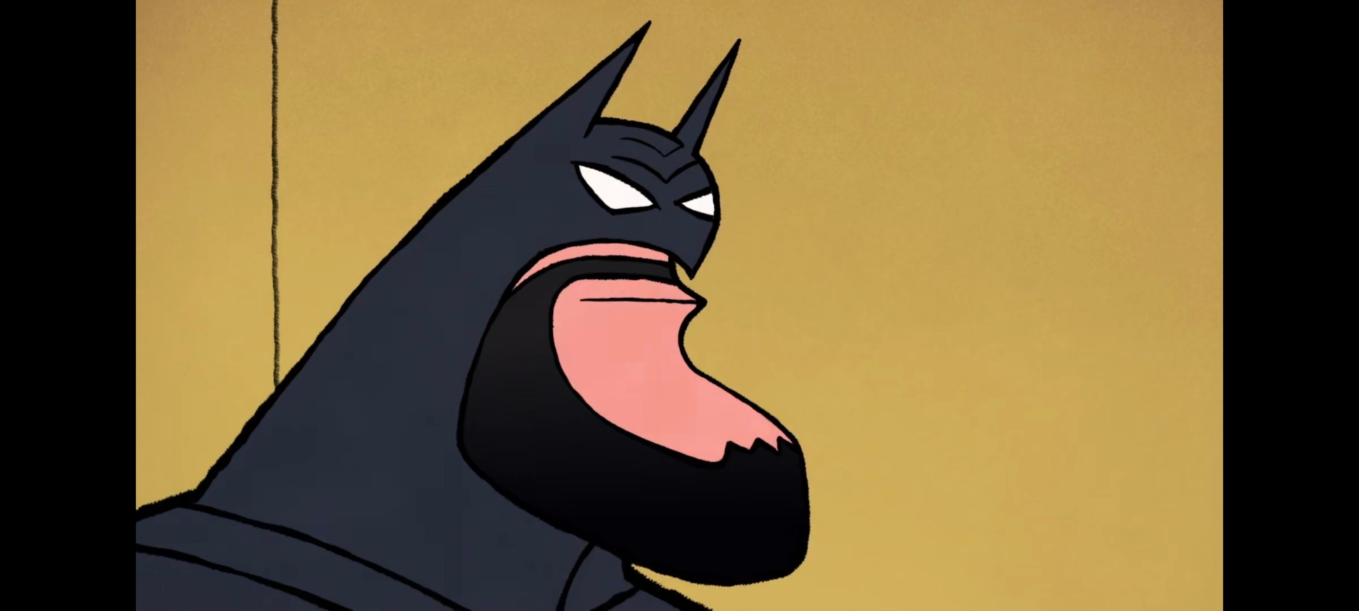 蝙蝠侠家族,蝙蝠侠一家,DC,动画,动漫,番剧,ACG