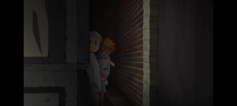 约定的梦幻岛,动画,动漫,番剧,ACG