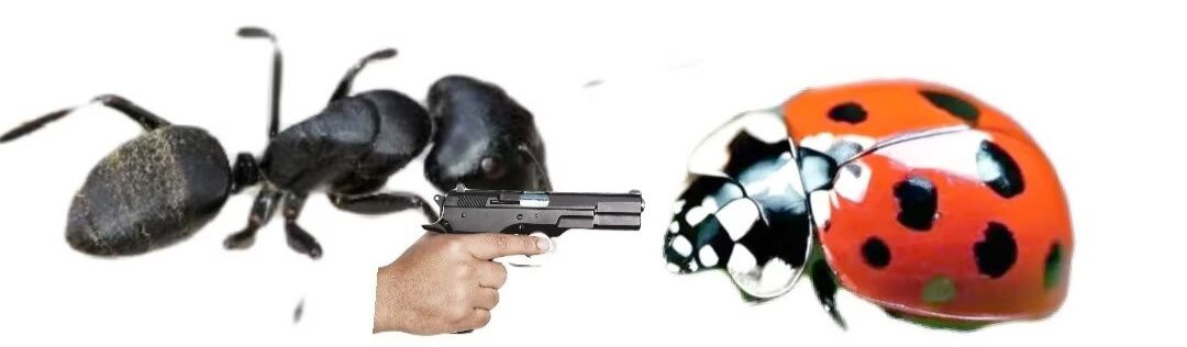 /static/213a3d8fc970c1fb394a3b37d480c0ff56f0e6964ff6fbf38a4ccbeee95a4400.jpg