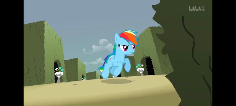 小马宝莉,小马宝莉友谊魔法,彩虹小马,我的小马驹,动画,动漫,番剧,ACG