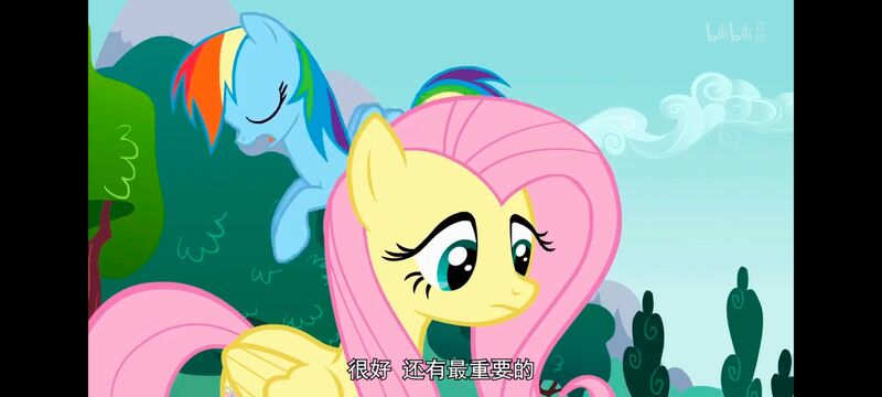 小马宝莉,小马宝莉友谊魔法,彩虹小马,我的小马驹,动画,动漫,番剧,ACG