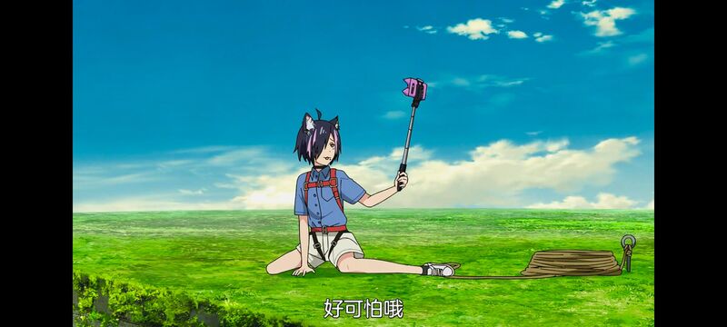 尼古喵喵,雅尼猫,动画,动漫,番剧,日漫,二次元,ACG