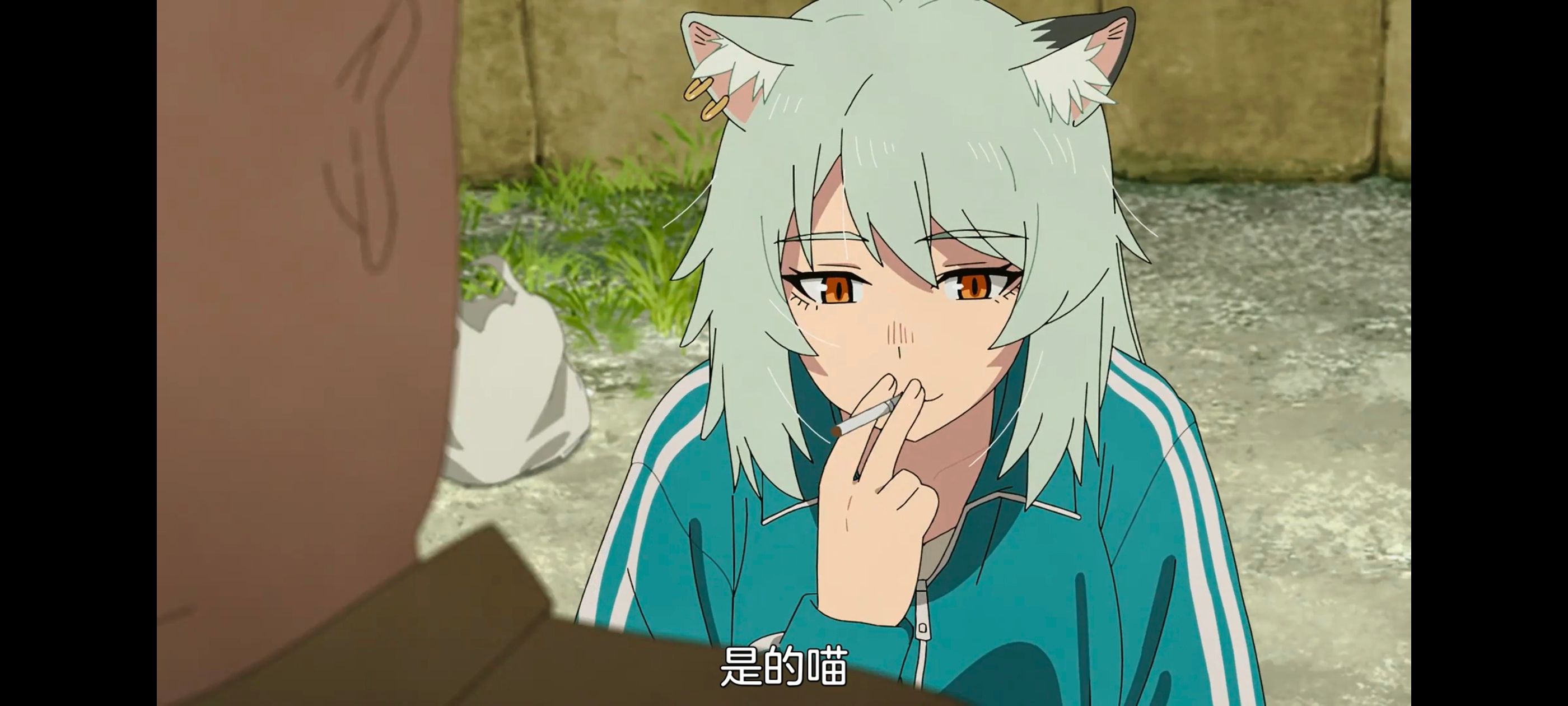 雅尼猫,尼古喵喵,动画,动漫,番剧,日漫,二次元,ACG