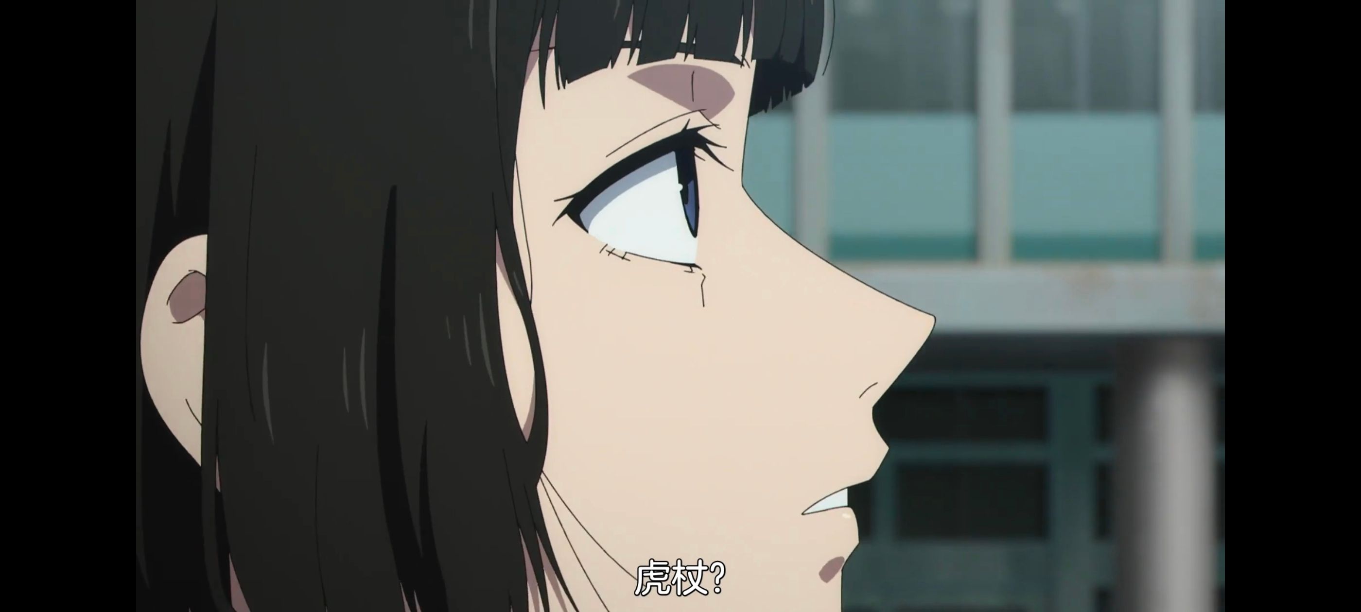 咒术回战,咒术回战死灭回游,动画,动漫,番剧,ACG