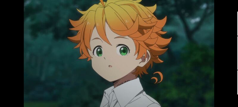 约定的梦幻岛,动画,动漫,番剧,ACG