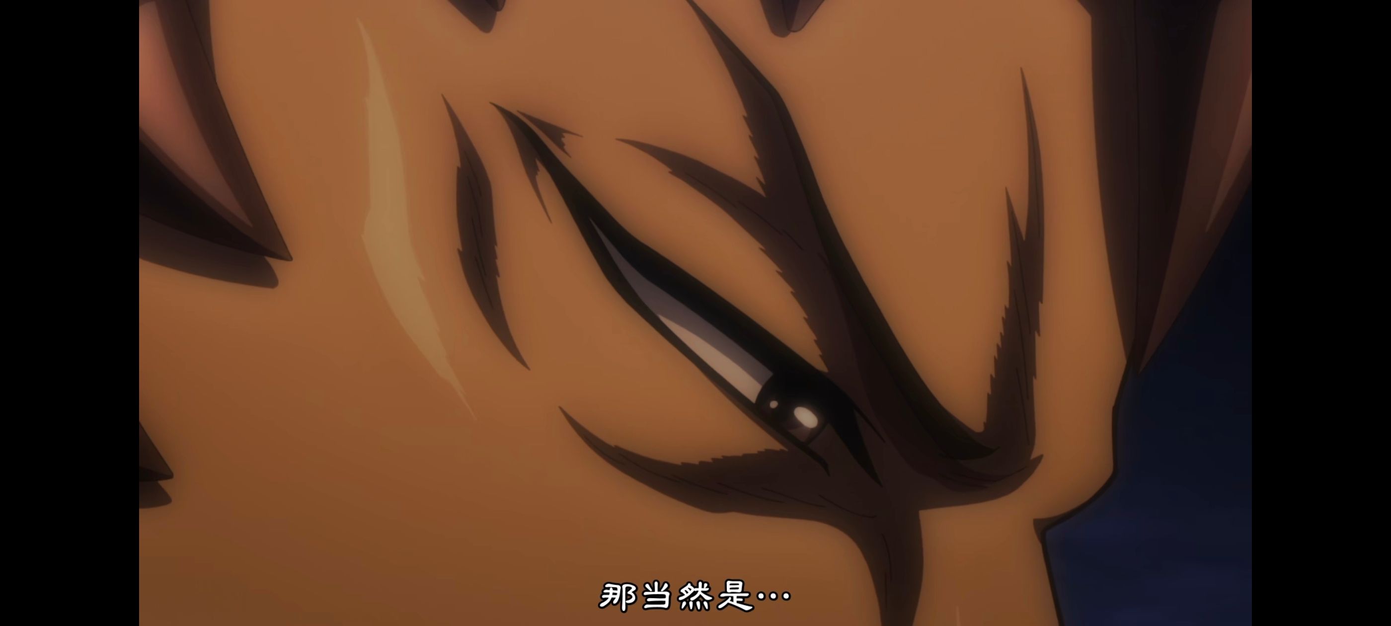 王者天下,动画,动漫,番剧,ACG