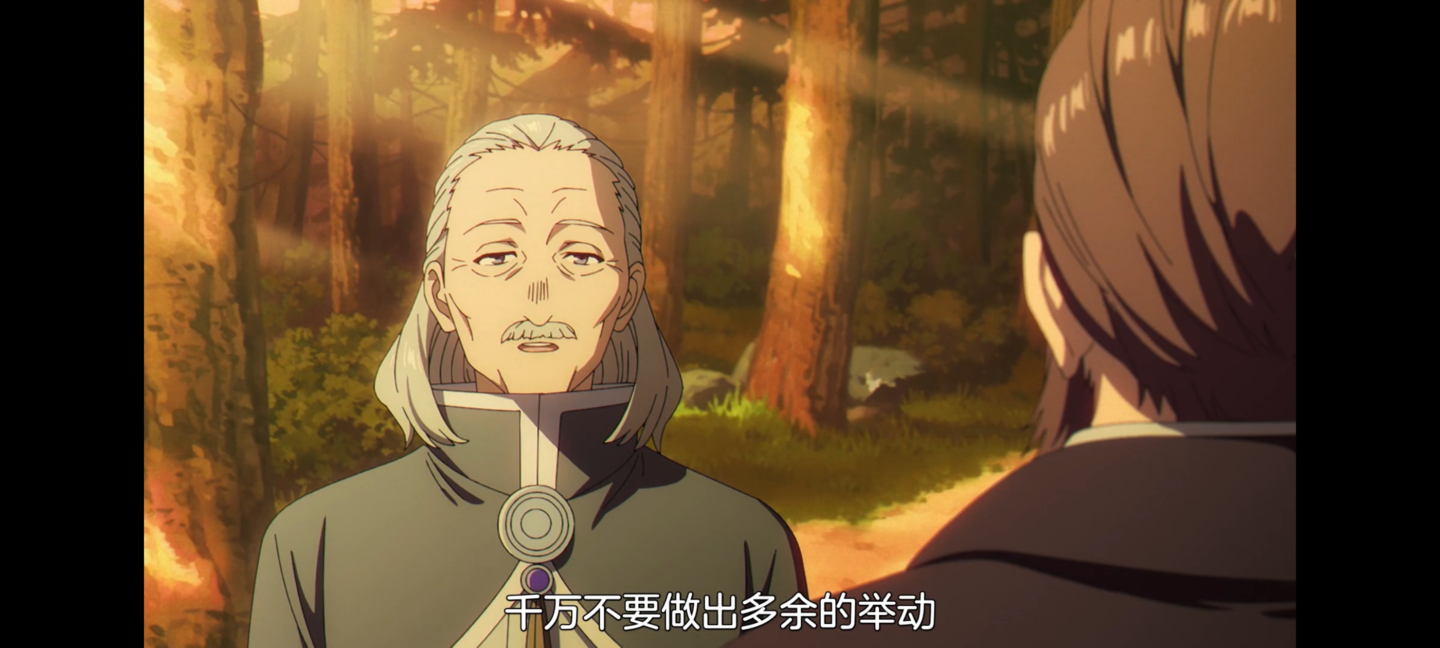 葬送的芙莉莲,动画,动漫,番剧,二次元,ACG