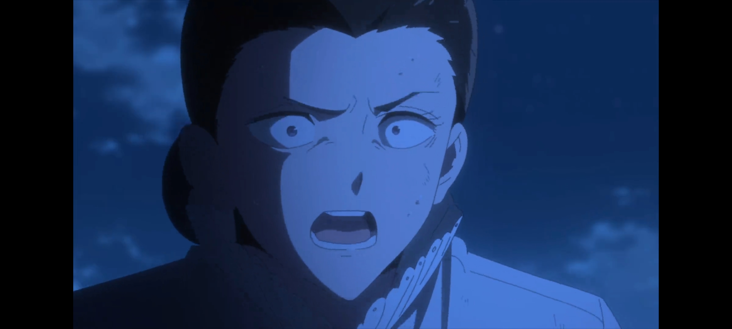 约定的梦幻岛,动画,动漫,番剧,二次元,ACG