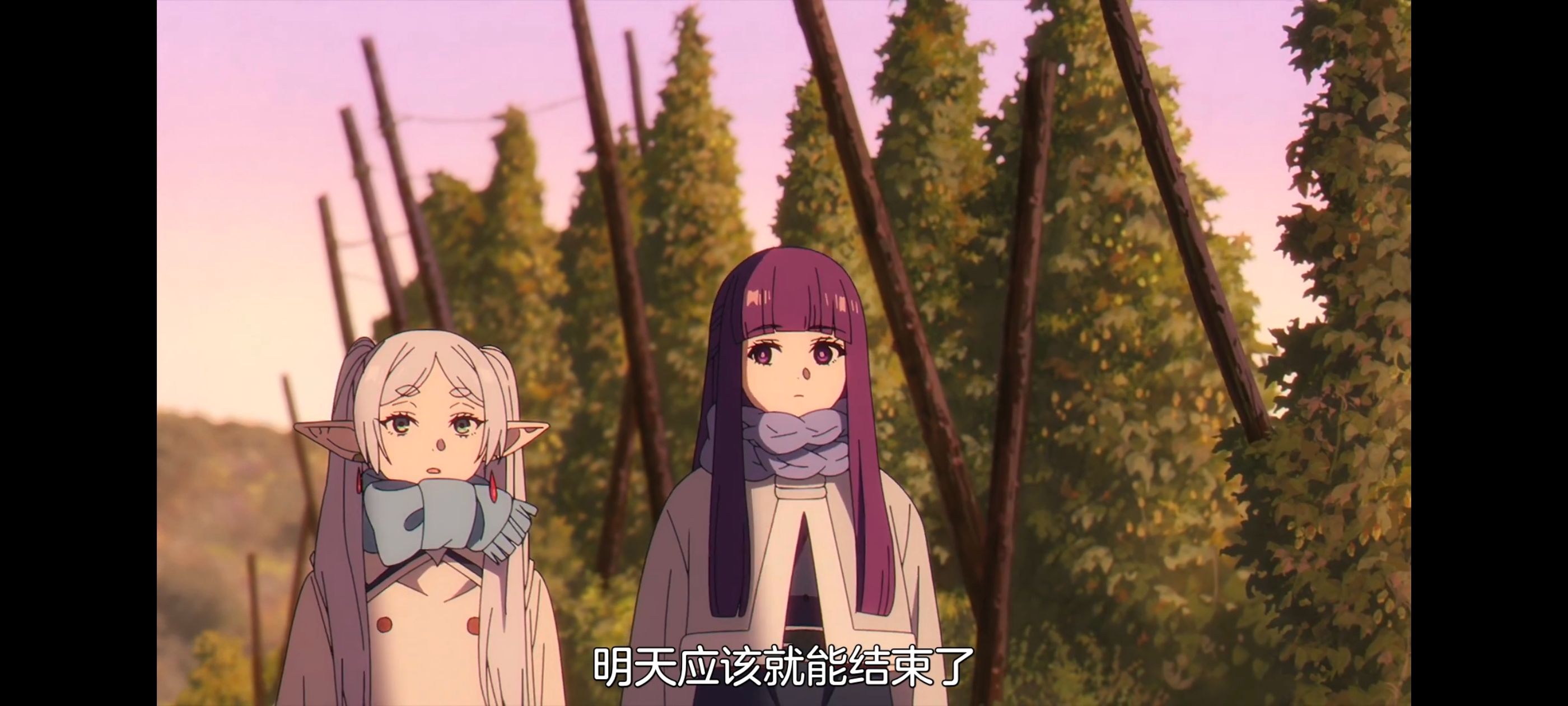 葬送的芙莉莲,动画,动漫,番剧,ACG