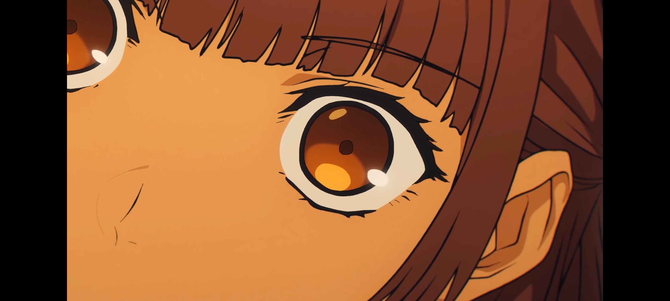 命运奇异赝品,FatestrangeFake,动画,动漫,番剧,ACG