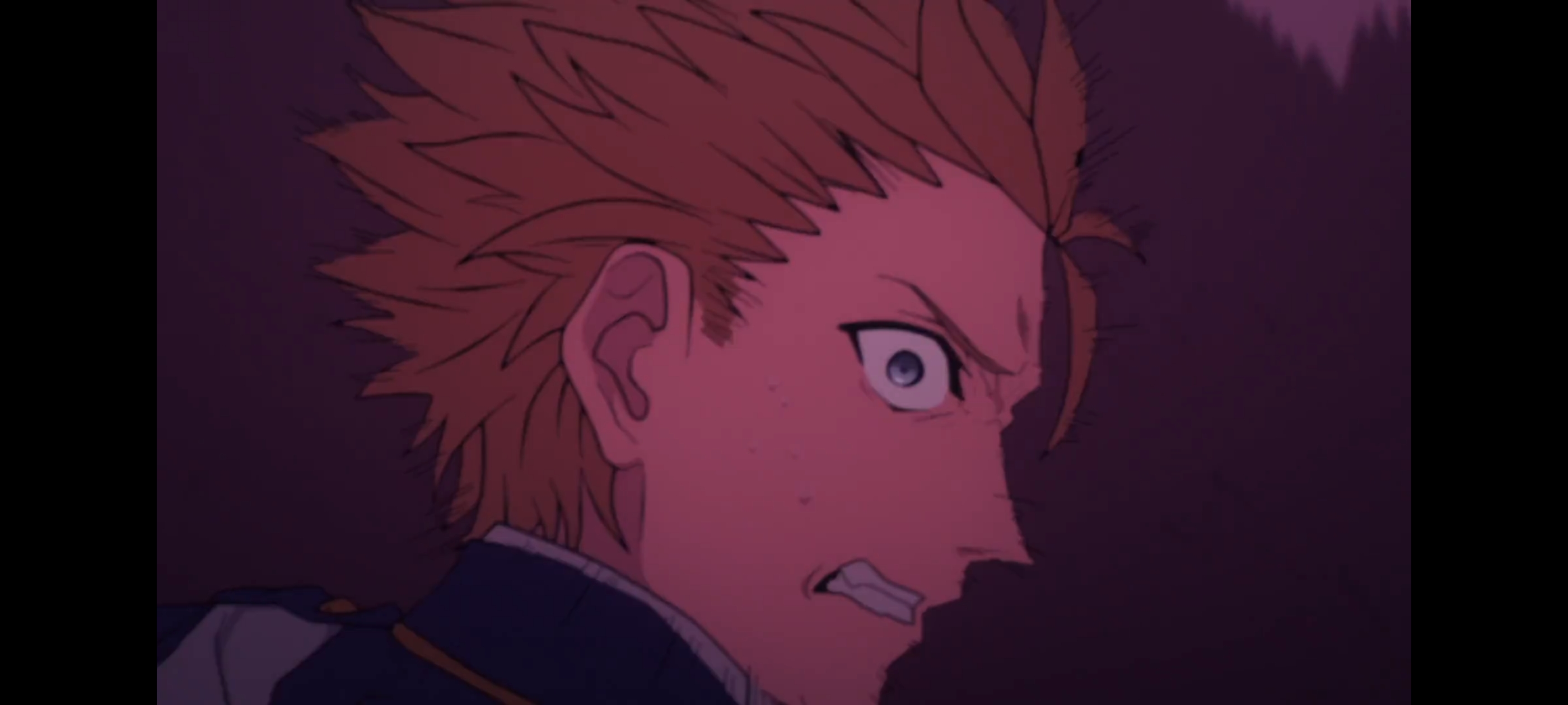 FATE,命运奇异赝品,FatestrangeFake,动画,动漫,番剧,二次元,ACG