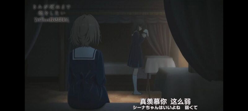 与你相恋到生命尽头,与你相恋到世界尽头,动画,动漫,番剧,百合,二次元,ACG