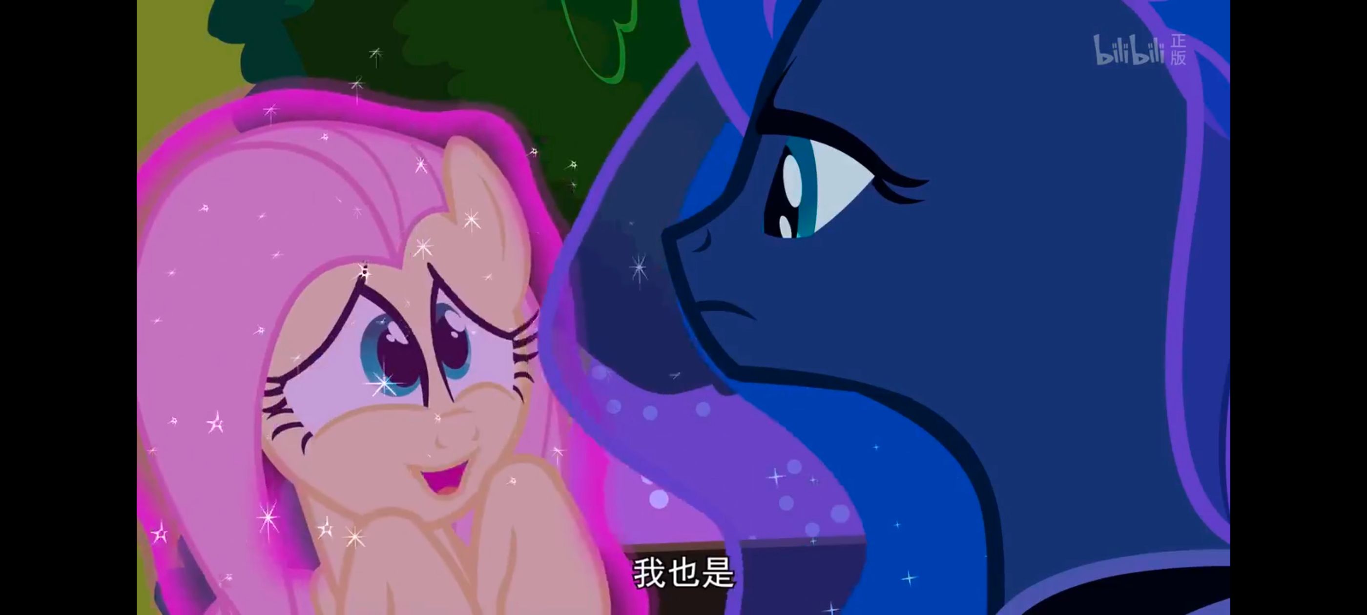 小马宝莉,小马宝莉友谊魔法,彩虹小马,我的小马驹,动漫,动画,番剧,ACG