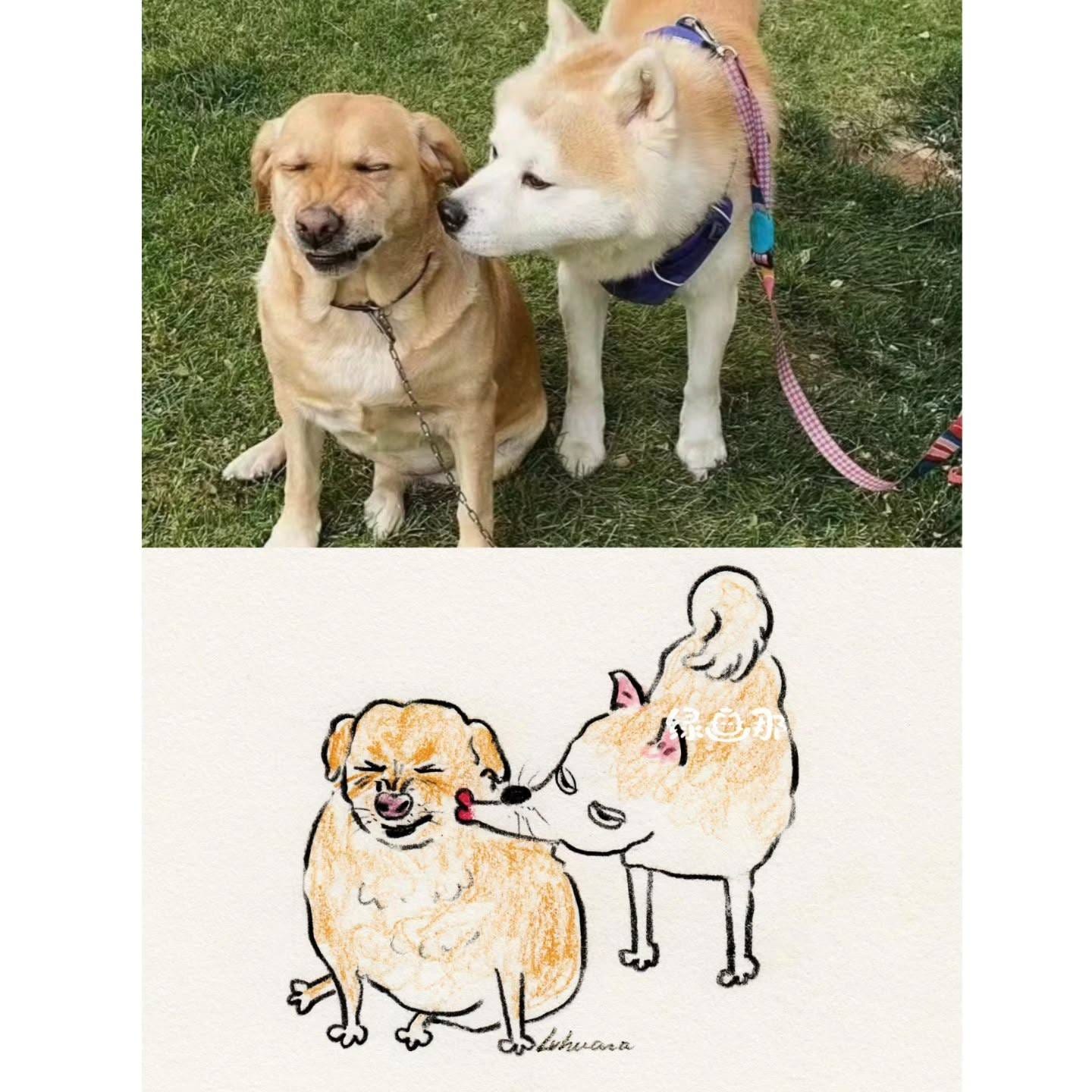 绿画那,插画,猫猫,可爱