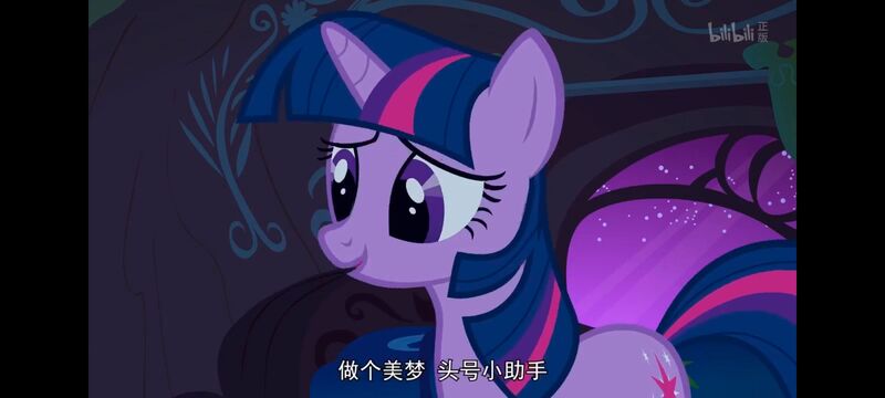 小马宝莉,彩虹小马,我的小马驹,动画,动漫,番剧,ACG,小马宝莉友谊魔法