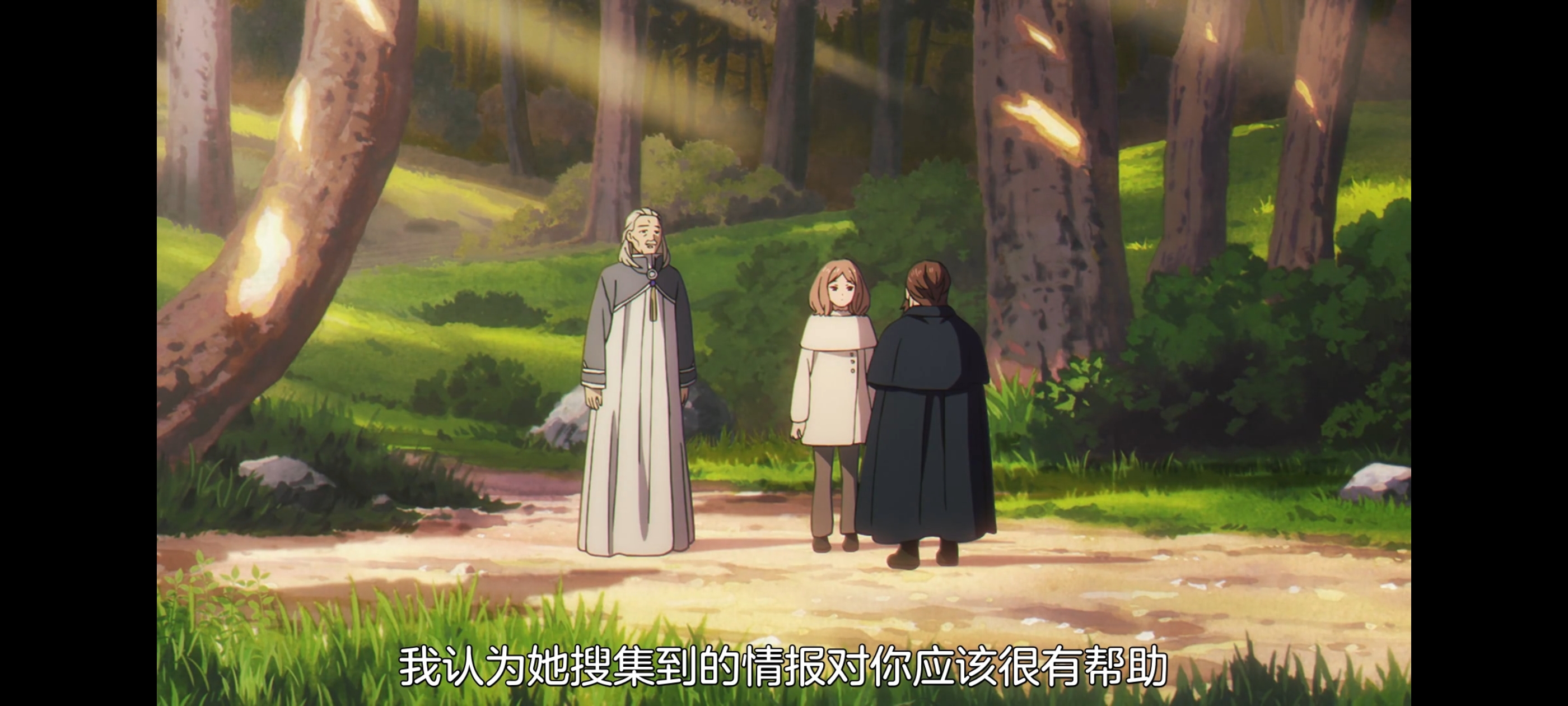 葬送的芙莉莲,动画,动漫,番剧,二次元,ACG